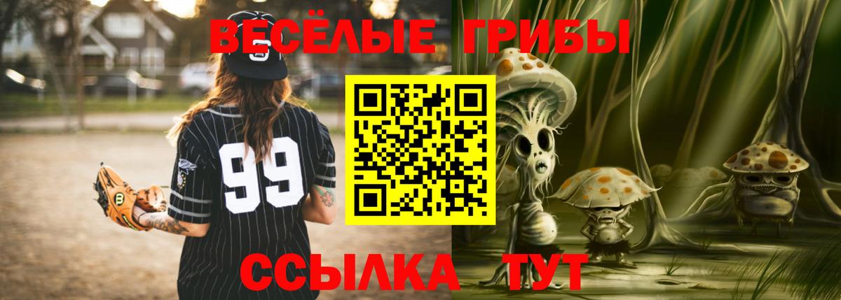 купить наркоту  Псилоцибиновые грибы прущие грибы  Вход с VPN  Минусинск 